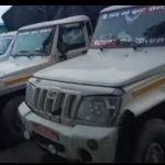 महोत्तरीमा तीन पिकअप ‘चाइनिज स्याउ’ बरामद